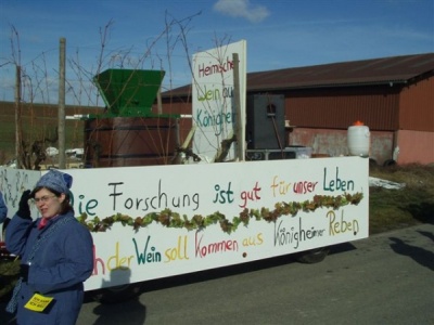  KKK - Bilder vom Fasnachtsumzug in Schweinberg - Kampagne - 2006