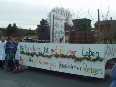  KKK - Bilder vom Fasnachtsumzug in Schweinberg - Kampagne - 2006