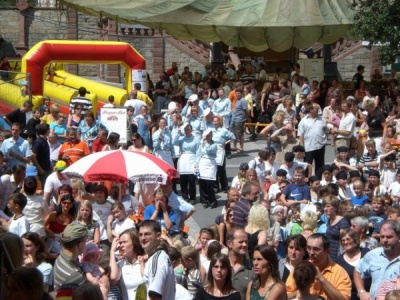  KKK - Weinblütenfest 2008 - Aktivitäten - Weinblütenfest