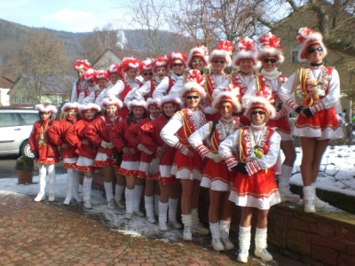  KKK - Narrenring-Umzug in Amorbach - Kampagne - 2009