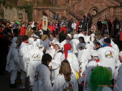  KKK - Narrenring-Umzug in Amorbach - Kampagne - 2009