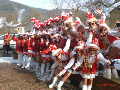  KKK - Narrenring-Umzug in Amorbach - Kampagne - 2009