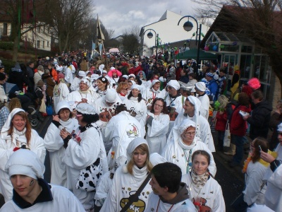  KKK - Narrenringumzug in Höpfingen - Kampagne - 2011