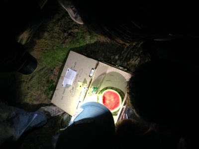  KKK - Kinderferienprogramm 2014: Nacht-Geocaching - Aktivitäten - Sonstige