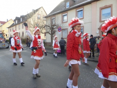  KKK - Narrenringumzug Lauda 2015 - Kampagne - 2015