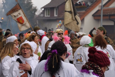  KKK - Narrenringumzug Lauda 2015 - Kampagne - 2015