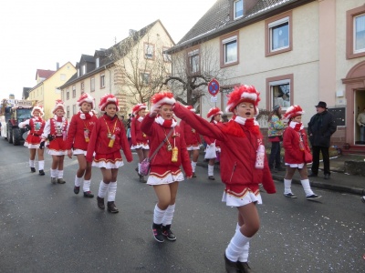  KKK - Narrenringumzug Lauda 2015 - Kampagne - 2015