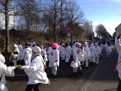  KKK - Narrenringumzug Lauda 2015 - Kampagne - 2015