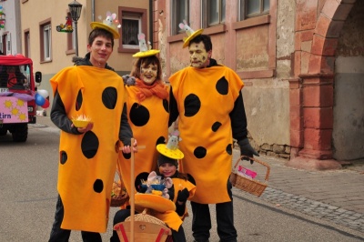  KKK - Bilder vom großen Fastnachtsumzug in Königheim - Kampagne - 2015