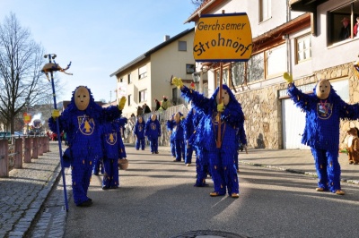  KKK - Ein wunderbarer Umzug - Gaudiwurm 2016 in Königheim - Kampagne - 2016