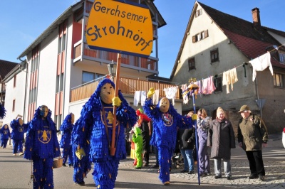  KKK - Ein wunderbarer Umzug - Gaudiwurm 2016 in Königheim - Kampagne - 2016