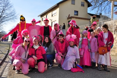  KKK - Ein wunderbarer Umzug - Gaudiwurm 2016 in Königheim - Kampagne - 2016