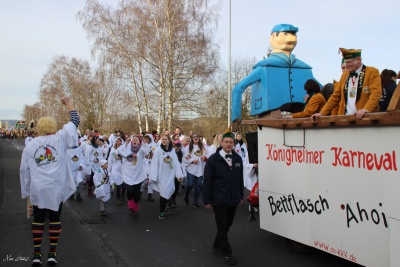  KKK - Narrenringumzug in Tauberbischofsheim - Kampagne - 2017