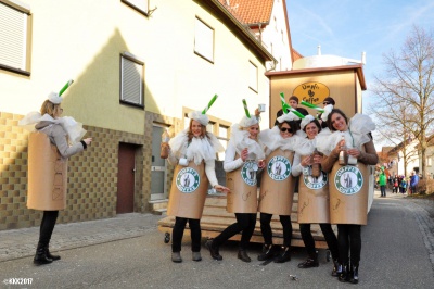  KKK - Fastnachtsumzug in Königheim 2017 - Kampagne - 2017