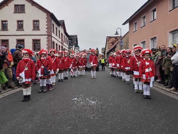  KKK - Umzug bei den lustigen Vögeln in Schweinberg - Kampagne - 2026