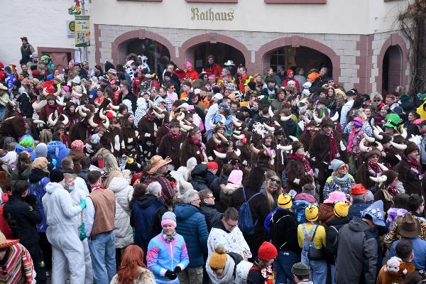  KKK - Gaudiwurm durch Kannenheim - Fastnachtsumzug 2026 - Bilderserie 2 - Kampagne - 2026